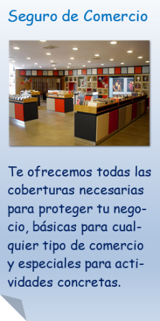 Seguro de Comercio, te ofrecemos todas las coberturas necesarias para proteger tu negocio, básicas para cualquier tipo de comercio y especiales para actividades concretas.